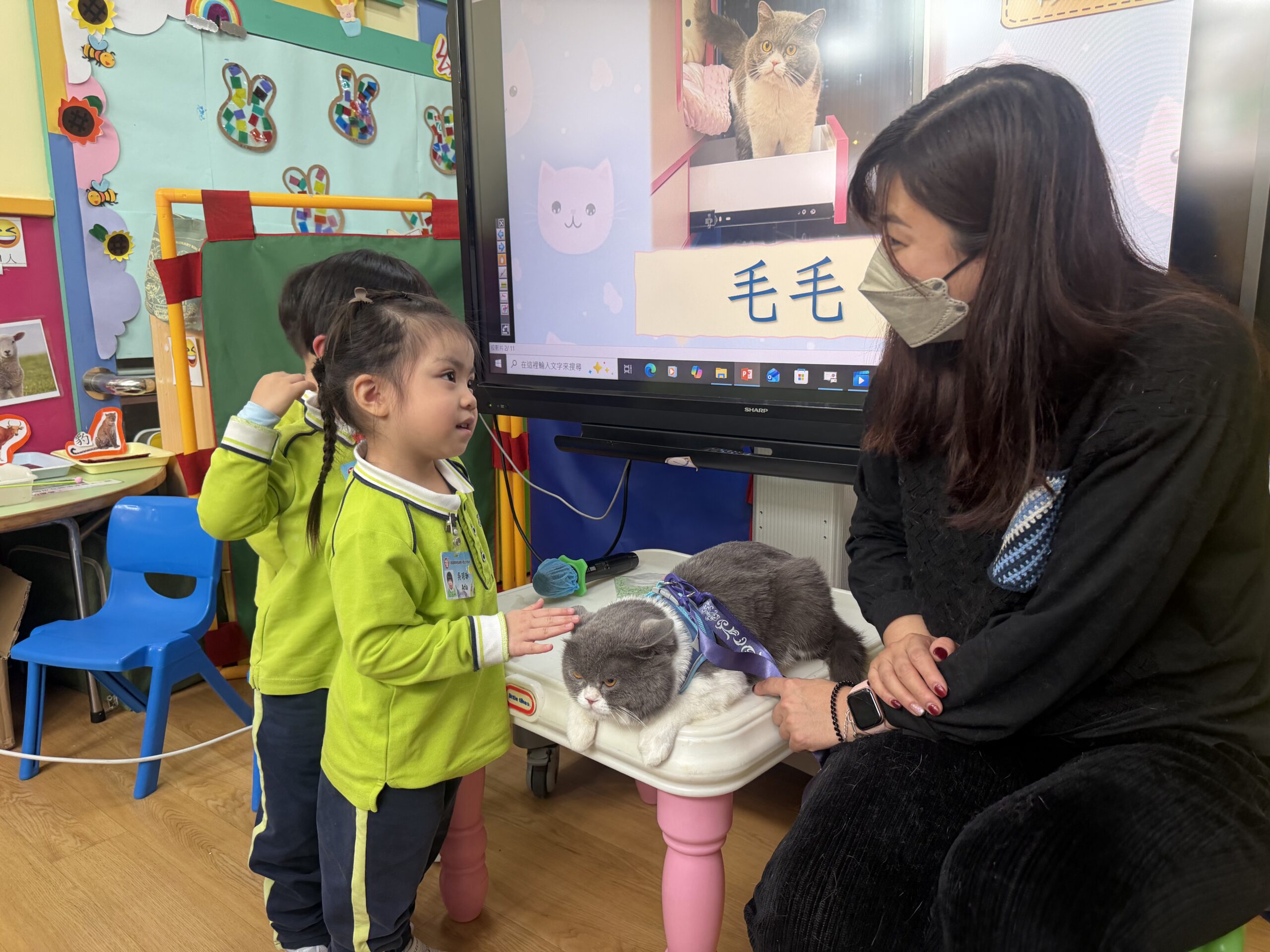 家長到校介紹小貓
